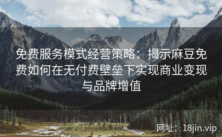免费服务模式经营策略：揭示麻豆免费如何在无付费壁垒下实现商业变现与品牌增值