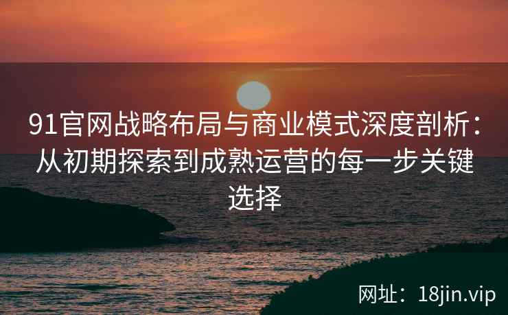 91官网战略布局与商业模式深度剖析：从初期探索到成熟运营的每一步关键选择